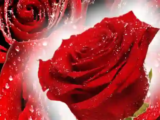 Juego Red Roses en línea