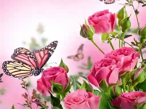 Juego Butterflies Puzzle en línea