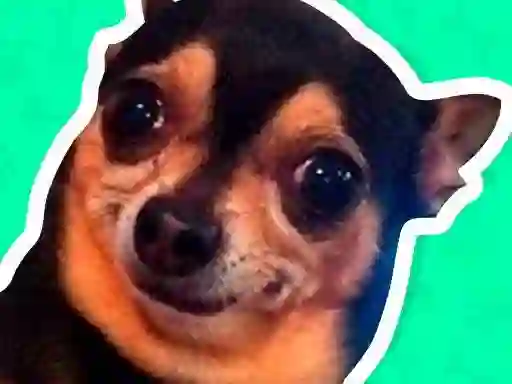 Juego What meme dog are you ? en línea