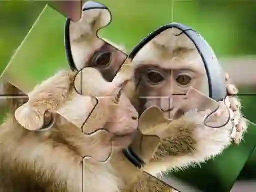 Juego Chimpanzee Jigsaw en línea