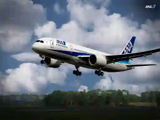 Juego Boeing Dreamliner Puzzle en línea