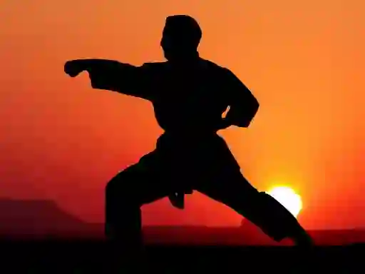 Juego Karate Sunset Warriors en línea