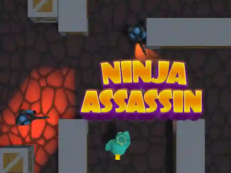 Juego Ninja Assassin en línea