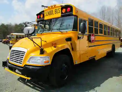 Juego School Buses Puzzle en línea