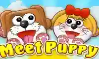 Juego Meet Puppy en línea