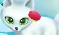Juego Paws to Beauty Arctic Edition en línea