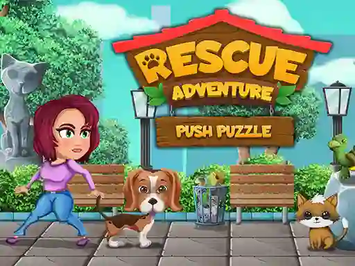 Juego Rescue Adventure Push Puzzle en línea