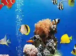 Juego Sea Underwater Difference en línea