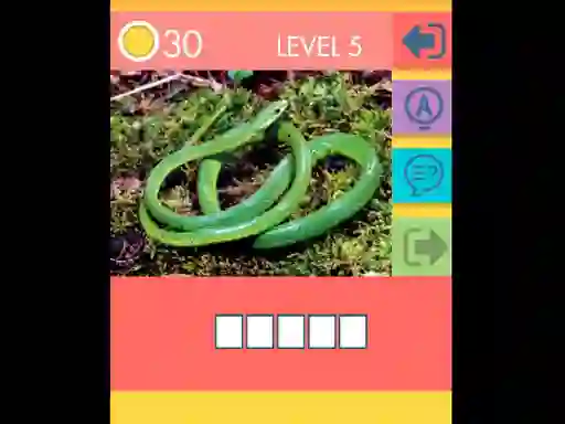 Juego 15 Picture Quiz en línea