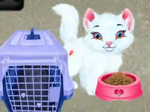 Juego Baby Taylor Pet Care en línea