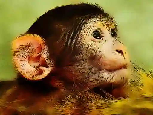 Juego Funny Baby Monkey en línea