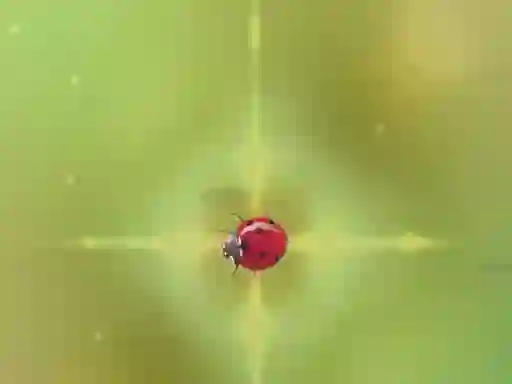 Juego Pest Control en línea