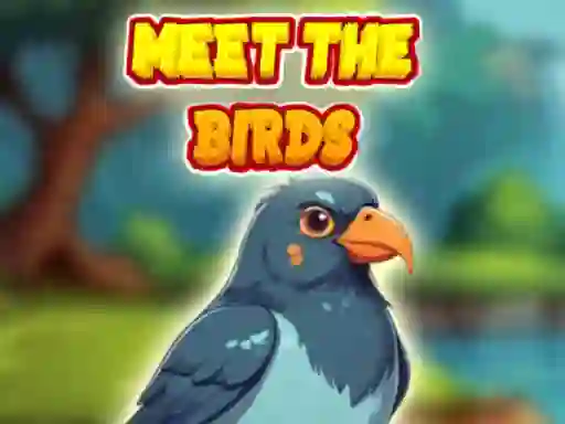 Juego Meet The Birds en línea