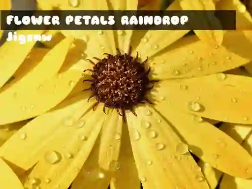 Juego Flower Petals Raindrop Jigsaw en línea