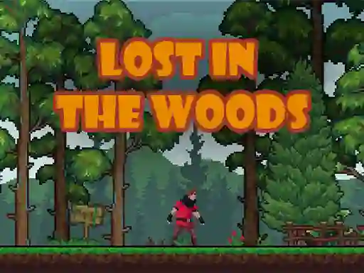 Juego Lost in the Woods en línea