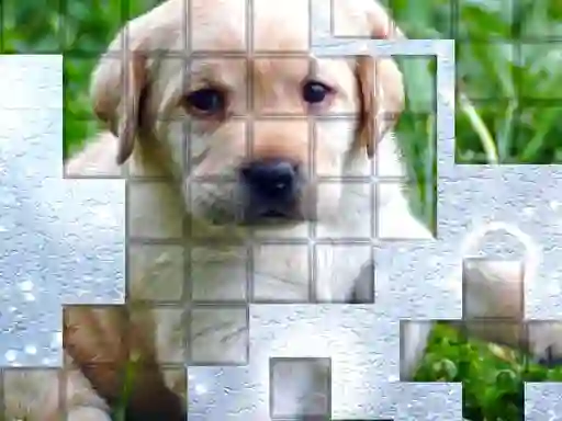 Juego PicPu Dog en línea