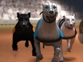 Juego Carrera de galgos  en línea