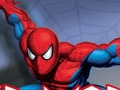 Juego Guerrero araña  en línea