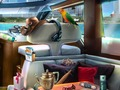 Juego Crimen del Caribe  en línea