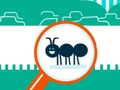 Juego Insecto squashy en línea