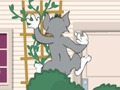 Juego Tom und Jerry: Wasserbomben Wahnsinn en línea