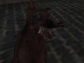 Juego Ejército Nazi Zombie  en línea