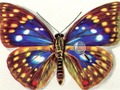 Juego Diferencias Mariposas  en línea
