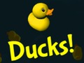 Juego Patos!  en línea
