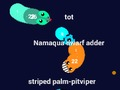 Juego Curvz. io  en línea