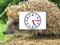 Juego Relojes de fotos de rompecabezas en línea