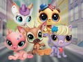 Juego Pequeña tienda de mascotas: el escondite  en línea