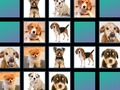 Juego Memoria animal  en línea
