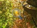 Juego Estrellas doradas ocultas  en línea
