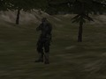 Juego Agencia FPS: Bosque  en línea
