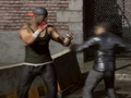 Juego Raging Punch 3D en línea