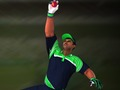 Juego Cricket: desafío del jardinero  en línea