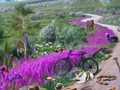 Juego Rastro de desaparición  en línea