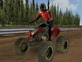 Juego Carreras de motos cuádruples  en línea