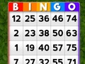 Juego Bingo en línea