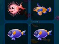Juego Tarjetas de pescado  en línea