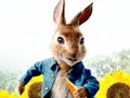 Juego Peter Rabbit: Problemas en el laberinto  en línea