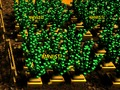 Juego Granja de píxeles  en línea