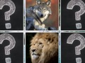 Juego Los animales de la jungla coinciden con la memoria en línea