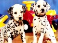 Juego Rompecabezas de pares de cachorros  en línea