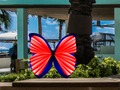 Juego Encuentra 100 mariposas  en línea