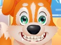 Juego Dentista lindo cachorro  en línea
