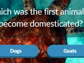 Juego Trivia Animal  en línea