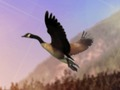 Juego Cazador de patos  en línea