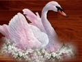 Juego Rompecabezas de los pájaros del amor en línea