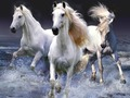 Juego Caballos  en línea